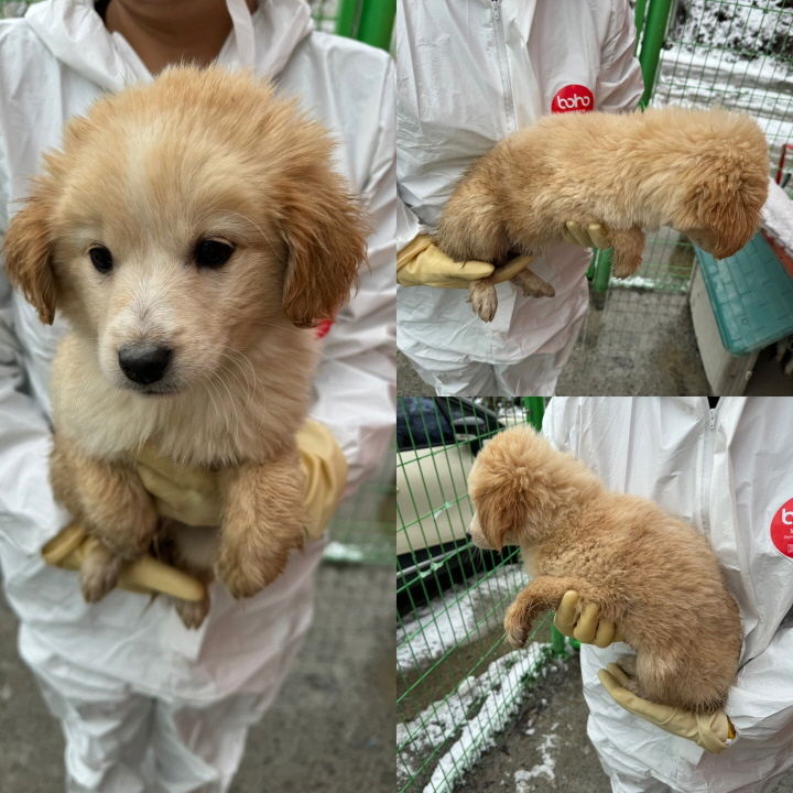 종료(자연사) 믹스…